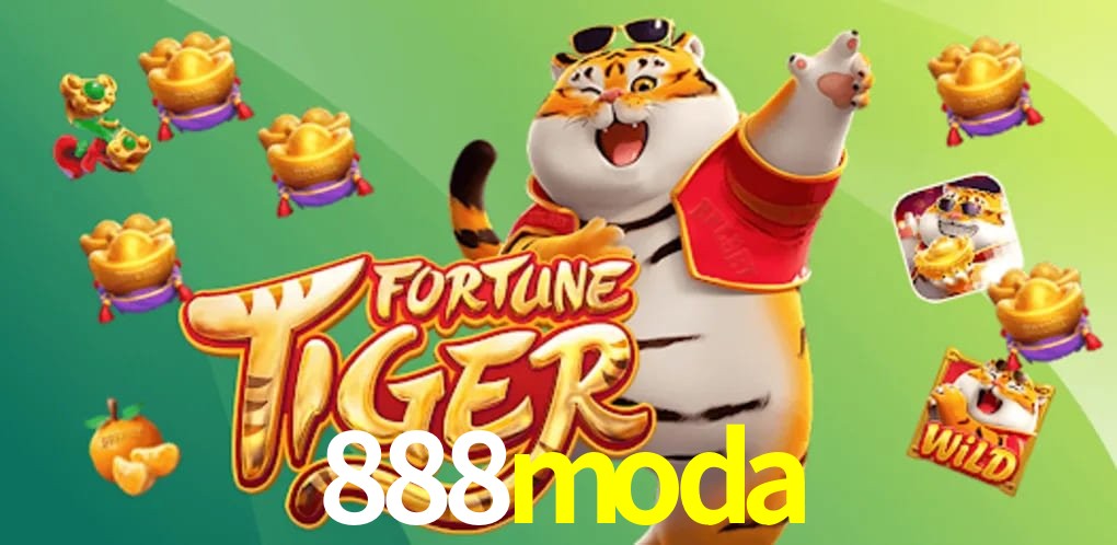 Experiência VIP 888moda